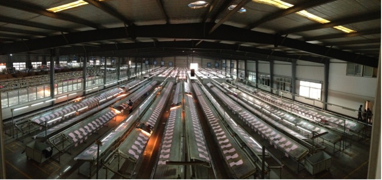 screen printing equipment
